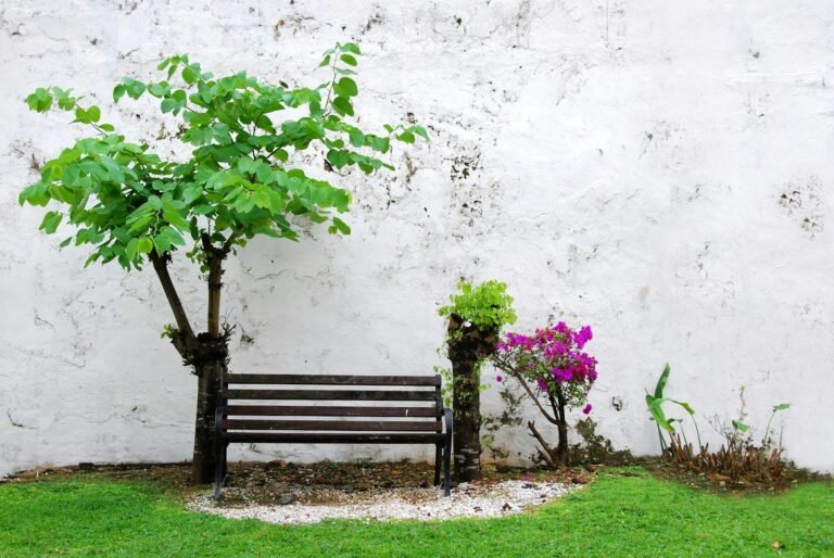Jardim pequeno e simples: ideias práticas para qualquer quintal
