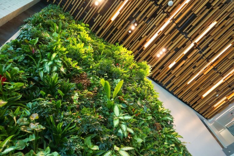 Jardim vertical: como montar, plantas certas e cuidados