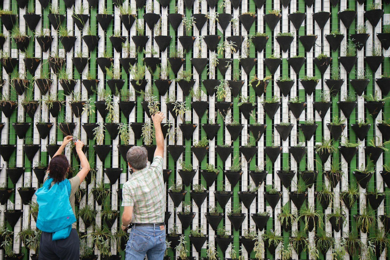 Duas pessoas plantando mudas em painel de vasos modulares pretos fixados em parede