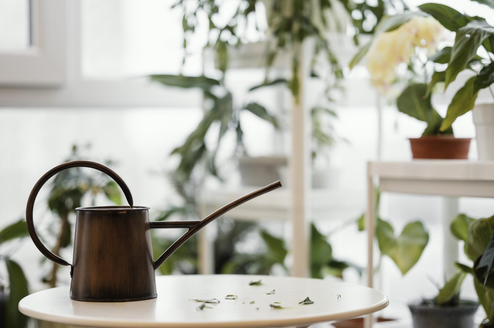 Regador de metal sobre mesa branca em uma sala com várias plantas ao fundo