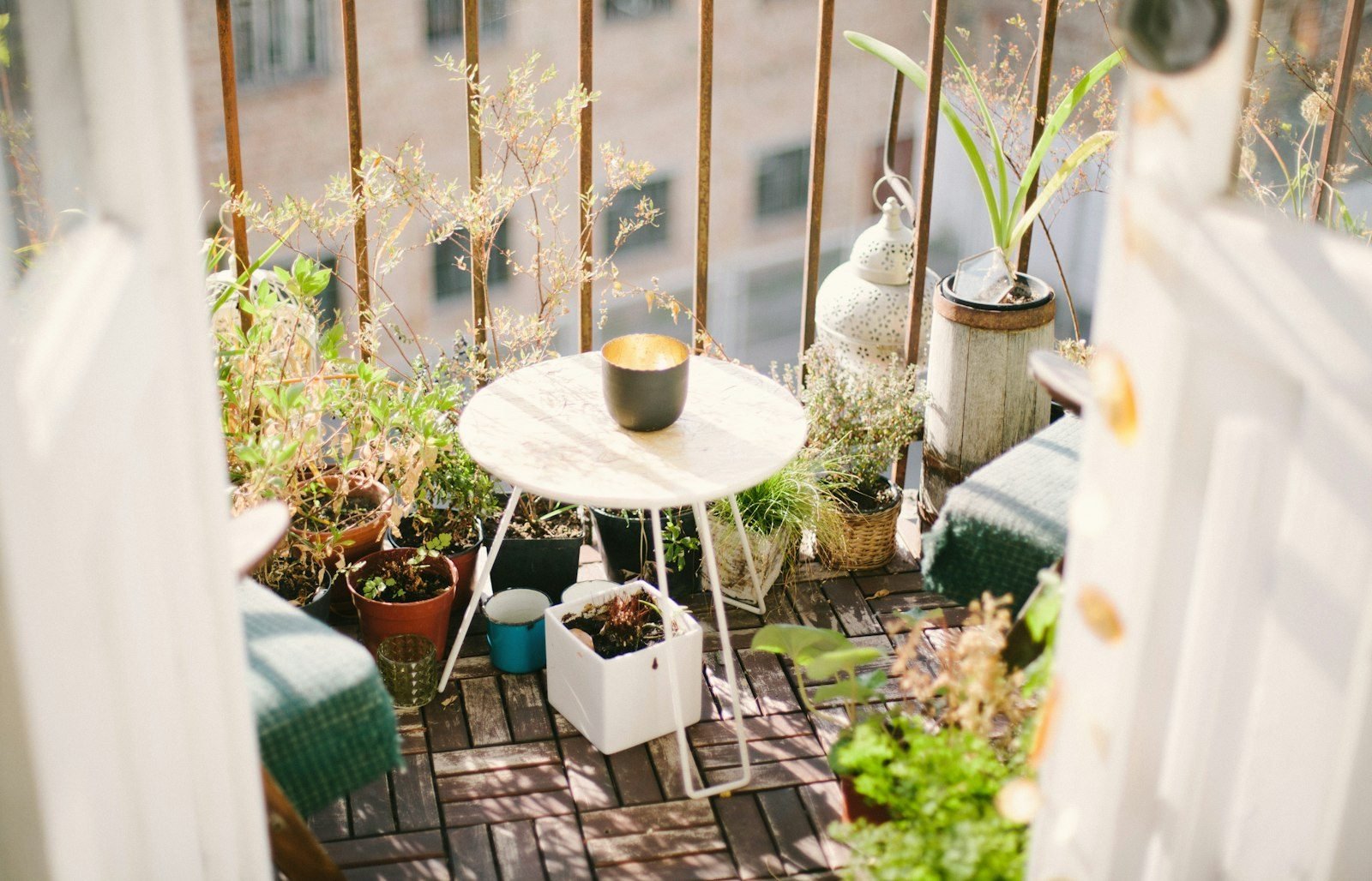 Plantas para varanda: como escolher para sol, sombra e vento