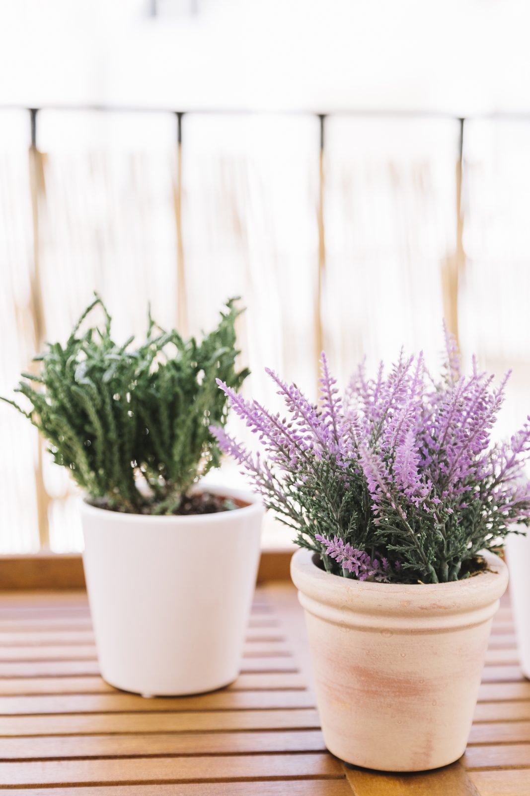 Vaso de lavanda florida e outra erva em vaso branco sobre mesa de madeira na varanda